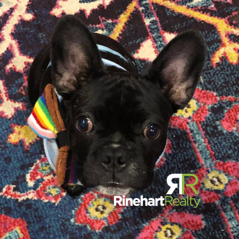 Meet your Posher, Jenny